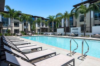Pool with sun loungers